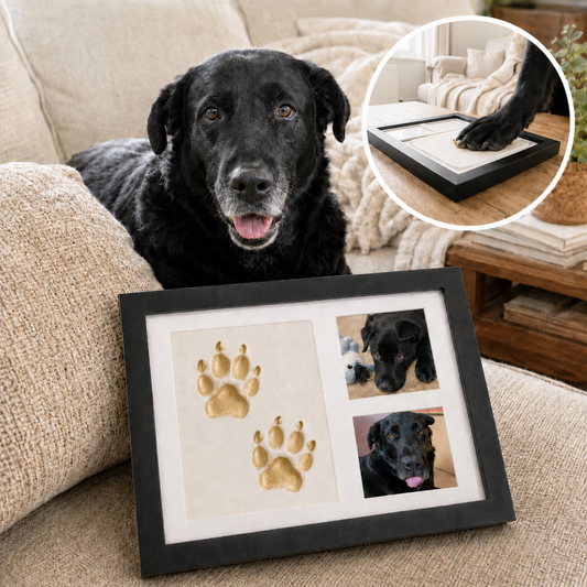 Pawvera™ Kit de Huella Conmemorativa para Perros
